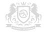 PARMA ACADEMY